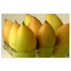 Manufacturers Exporters and Wholesale Suppliers of Mango Pulp Hyderabad Andhra Pradesh